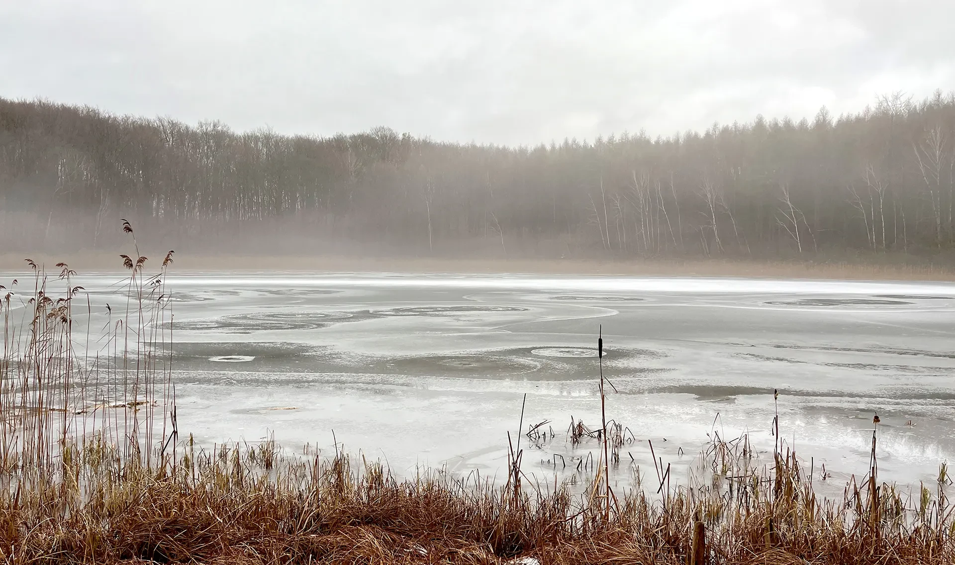 Scheunenhaus am See - Beautiful lake house view